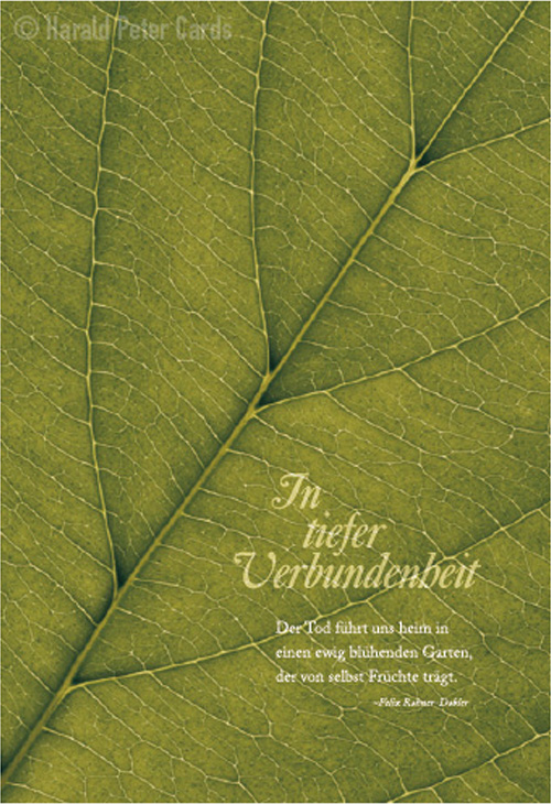 Trauerkarte In tiefer Verbundenheit ...