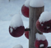 winterbild